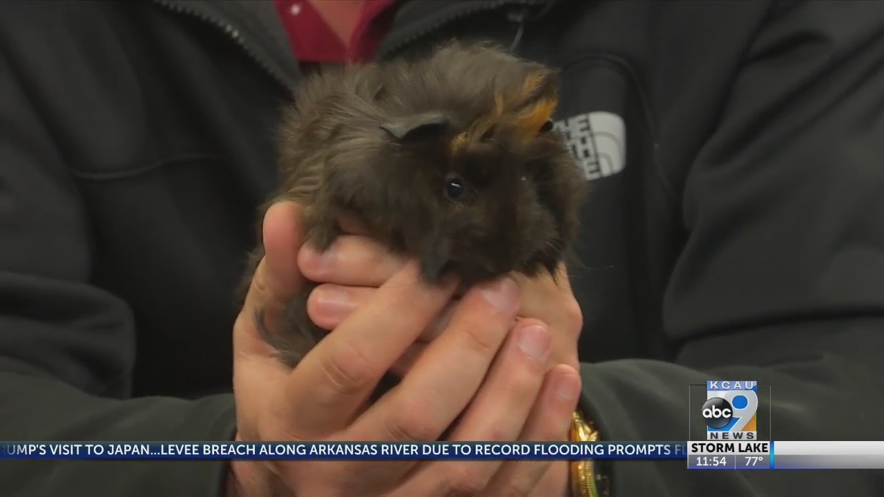 Friday Pets With Chris Wall