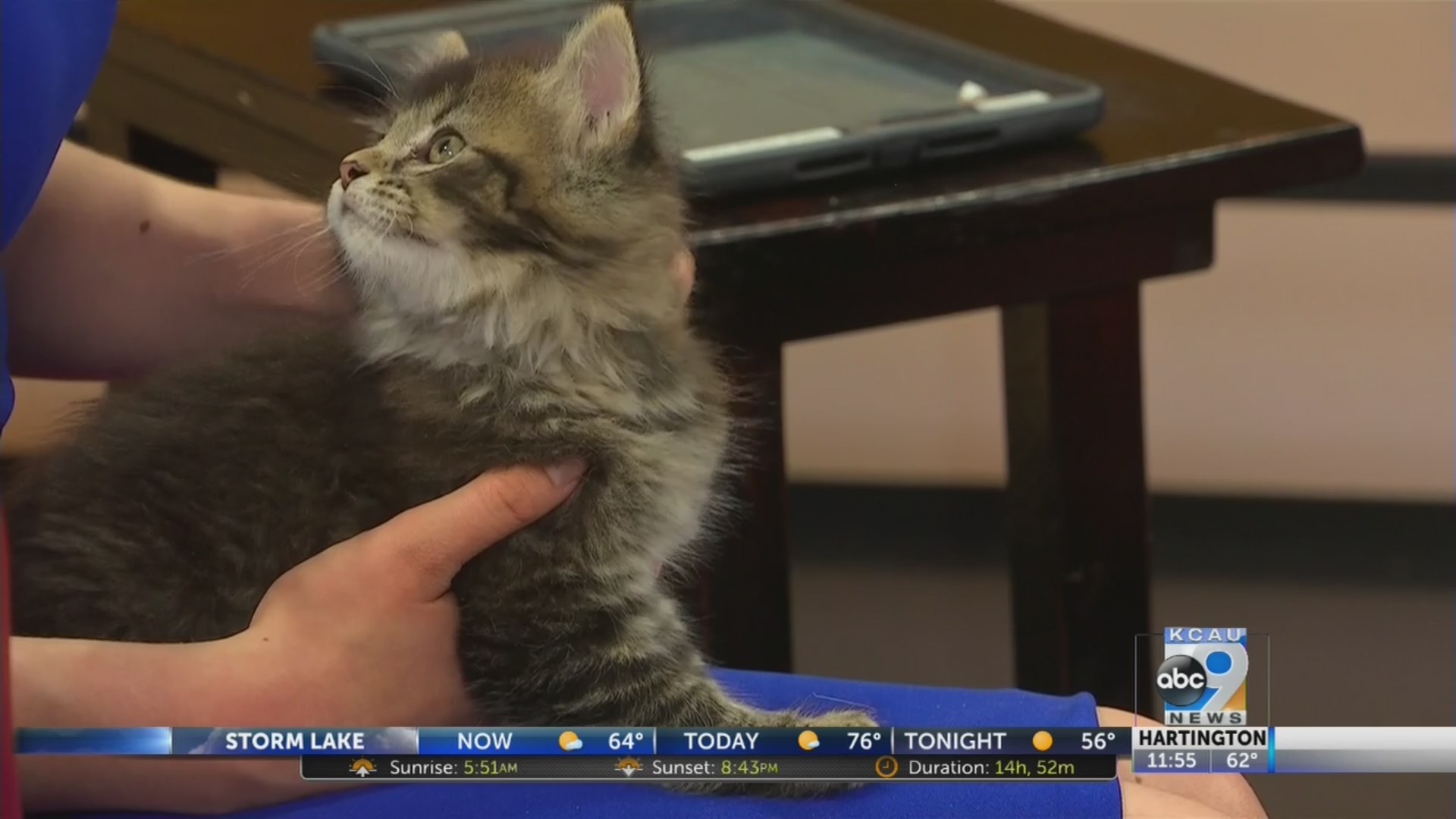 Friday pets with chris wall